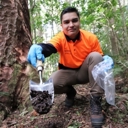 New council kauri dieback team in place
