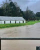 Matangirau’s new flood defences pass first major test in recent 10-year rainfall event