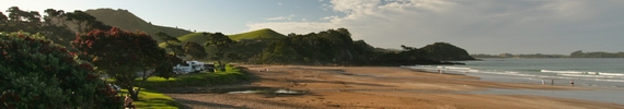 Sandy Bay, Northland (Photo: Bee Scene Photography). 