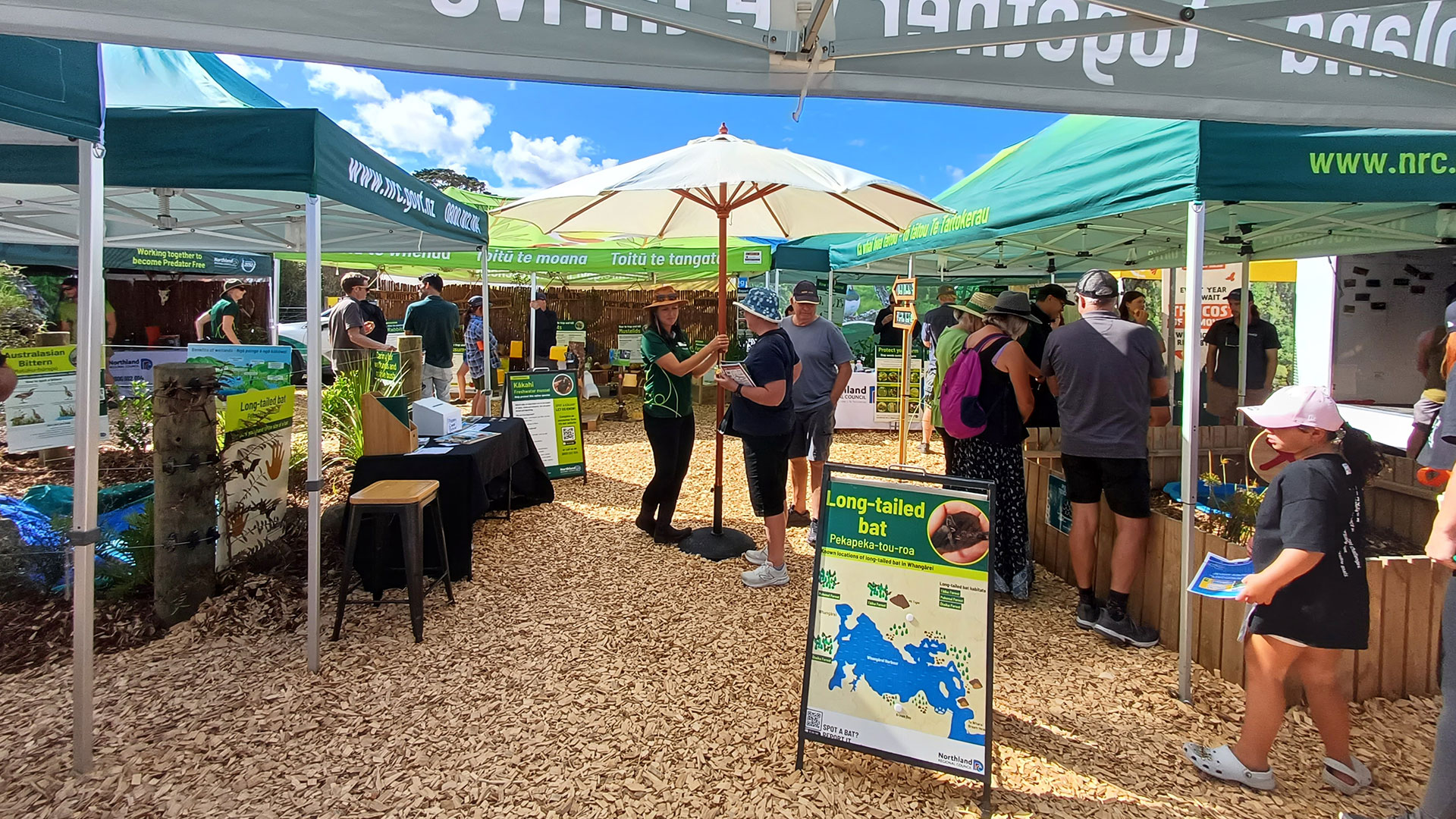 People looking at displays under umbrellas and gazebos.