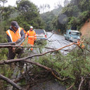 Committee’s thanks for Cyclone Gabrielle clean up and recovery