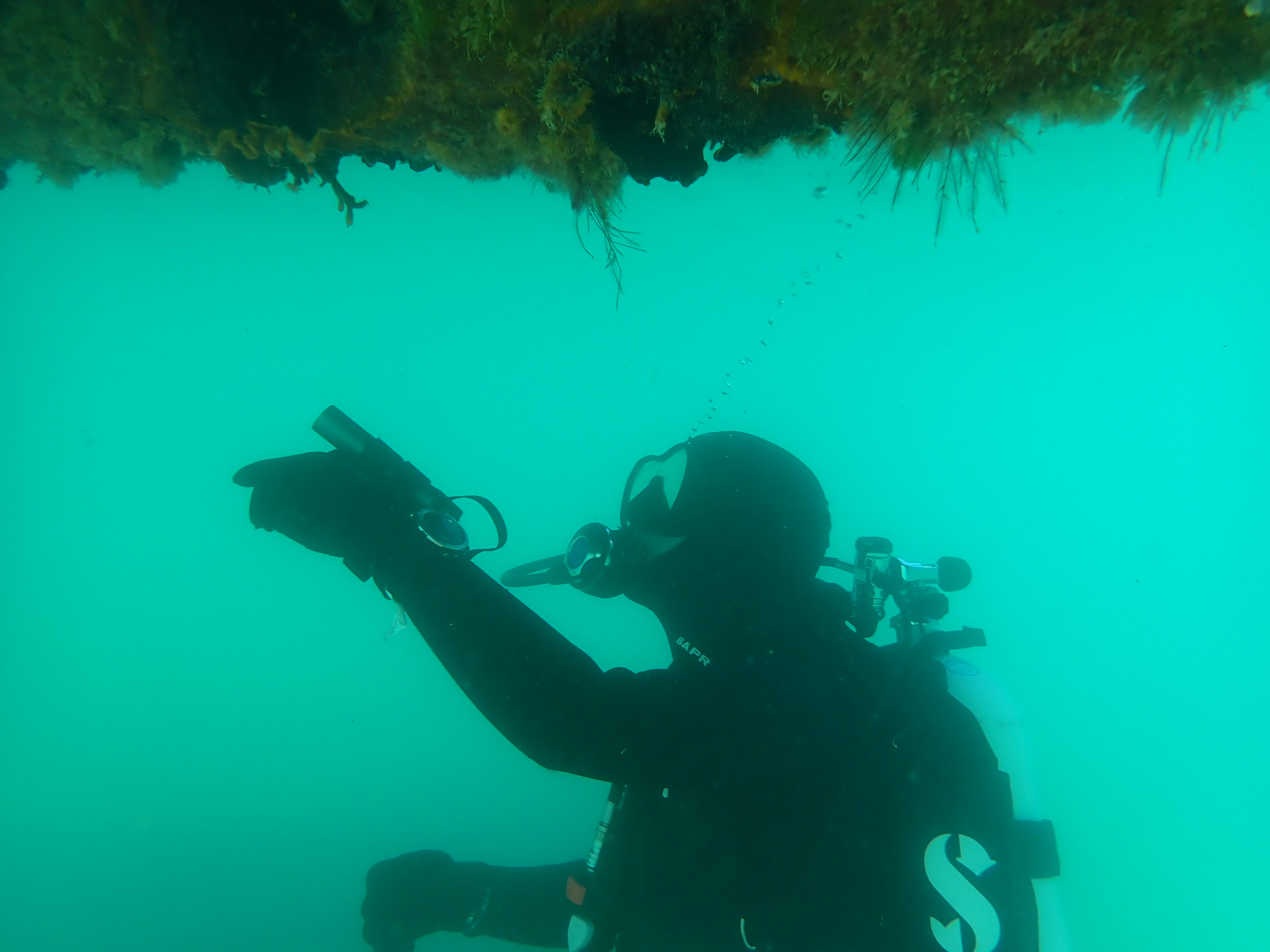 Northland Regional Council diver checking a vessel hull under water.