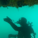 Hull checks to resume soon