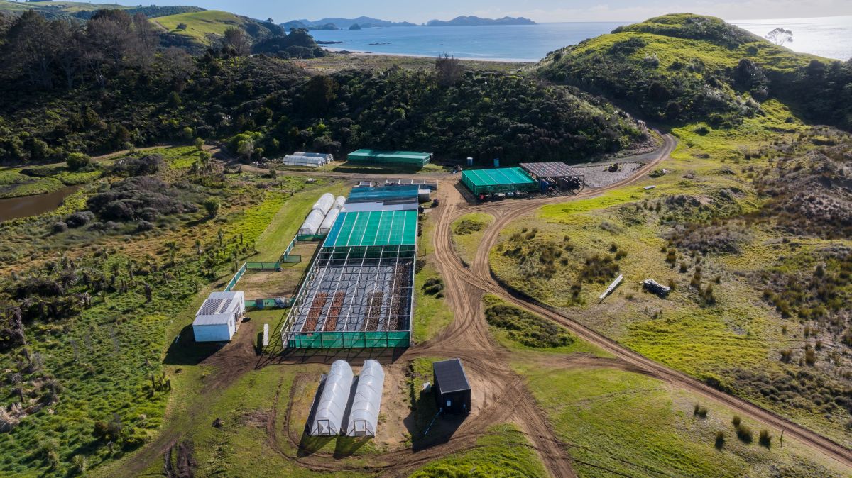 An aerial shot of Te Rūnanga o Ngāti Rēhia Trust’s greenhouses which are part of the hapū’s mahi across ecosystem restoration.