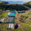 Passion for rangatahi and te taiao drives Ngāti Rēhia’s climate action success