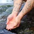 Ngā karere o Tai Tokerau - Panui