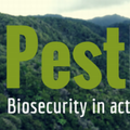 Pest Pulse - Biosecurity eNewsletter