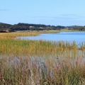 Sediment mitigation