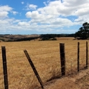 Big dry predicted to continue in February