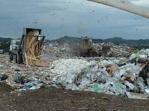 Photo from the closed Pohe Island landfill in Whangarei.