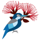 Kingfisher and flower graphic.
