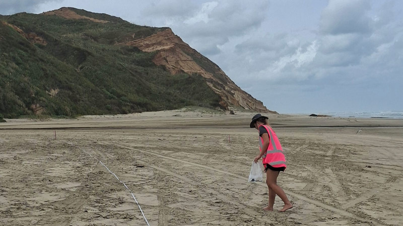 Collecting litter along a transect line