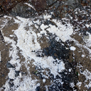 Leave polystyrene at home when heading to coast; NRC