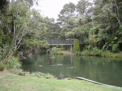 Hātea River at Mair Park.