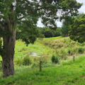 Environment Fund case studies