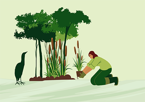 Graphic of woman kneeling and planting near a bird and trees.