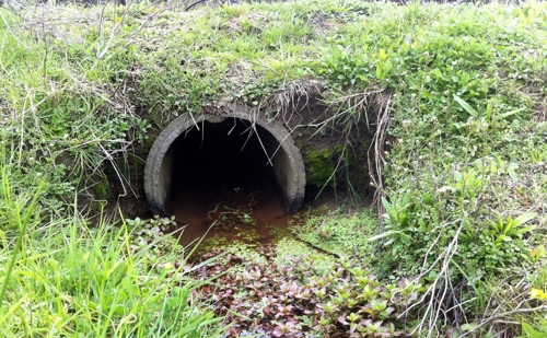 Good culvert.