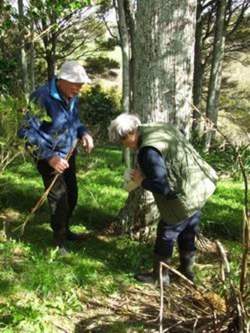 Checking bait stations at the Takahoa Bay CPCA.