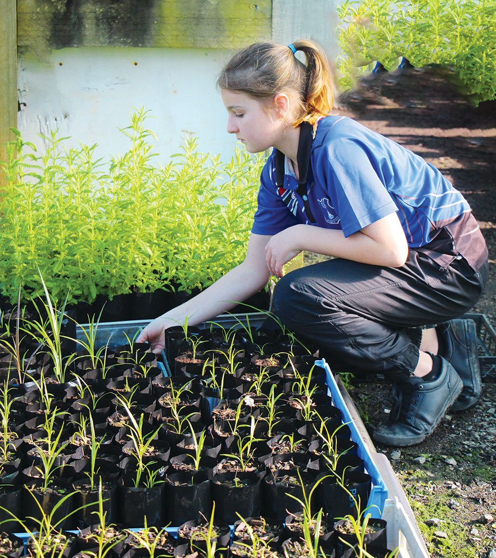 An Intermediate School student tends to the plant nursery.