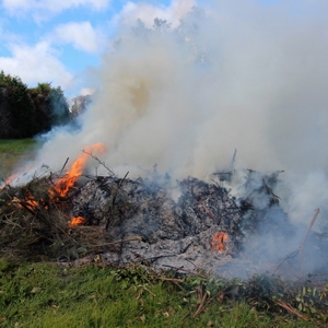 Burning Vegetation Waipapa (MEDIA 01) 20170915 (400)