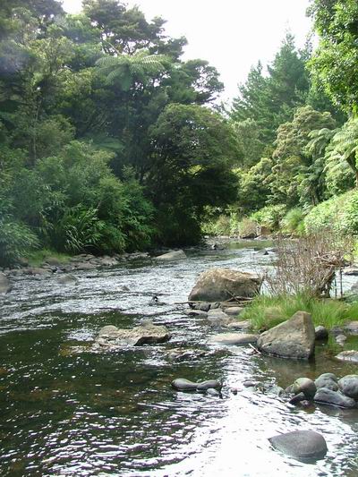 Kaihū River.