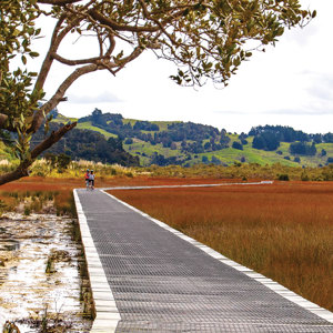 Twin Coast Cycle Trail (1)