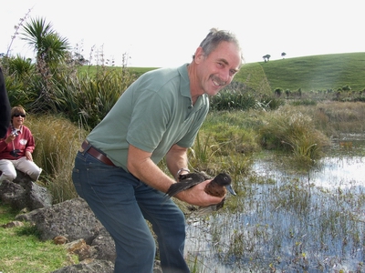 Description: Northland Regional Councillor Joe Carr reintroduces Pāteke to boost populations at Purerua. 