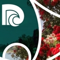 Council newsletter - Tō Tātou Taitokerau - Our Northland