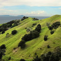 Grants for planting on erosion-prone land