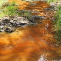 Marine and freshwater natural phenomena