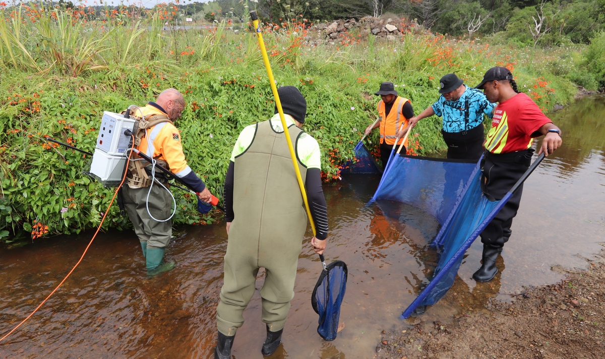 Men with nets and equipment in a stream.