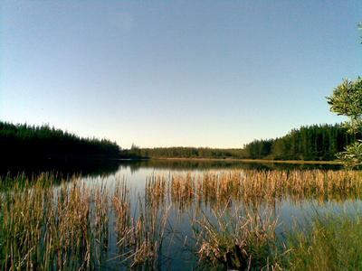 Lake Te Kahika.