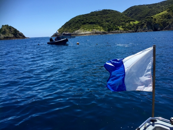Boat flying dive flag.