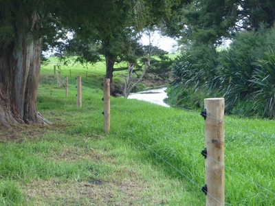Fenced riparian waterway. 