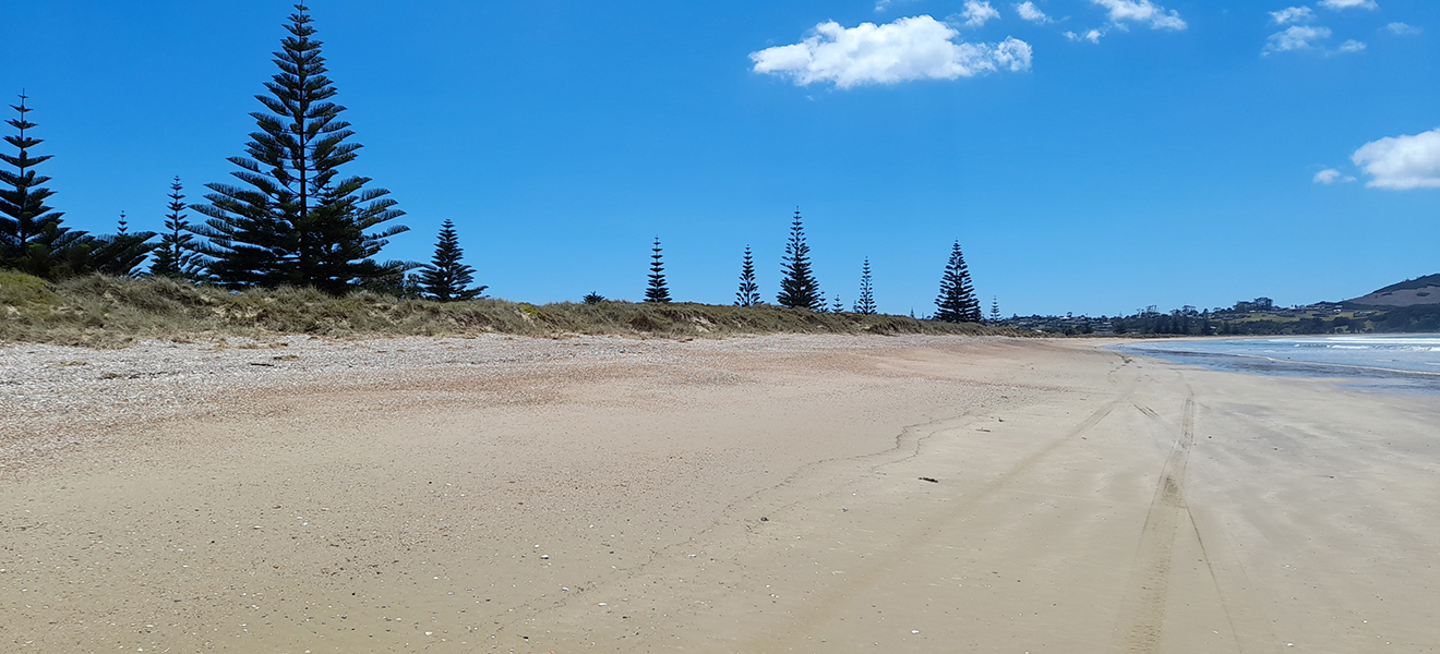 Tokerau Beach.