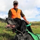 Specially trained dogs join Hokianga wallaby hunt