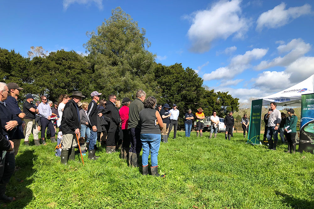 Group of people wearing gumboots on the farm.