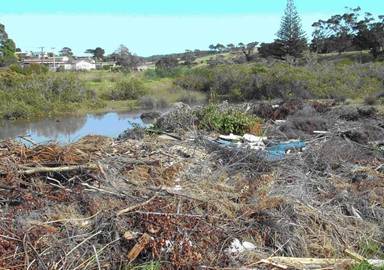 Rubbish and debris pile in the RMZ.