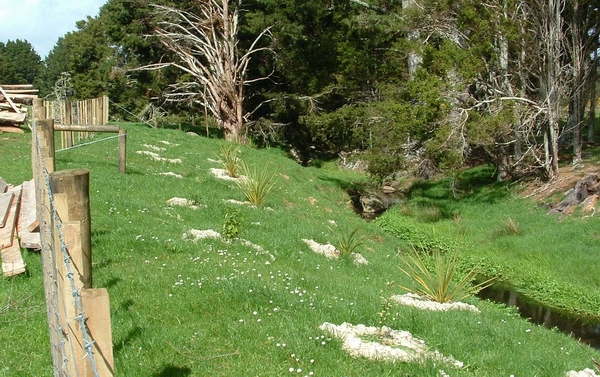 Riparian fencing and plantings.