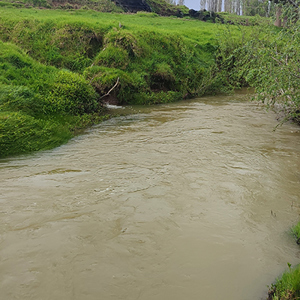 2023 October Northern Wairoa Rivers With High Turbidity And Pasture Areas No Riparian Planting  3   S  400 