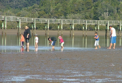 Family walking in the estuary.