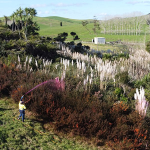 Spraying Pampas  400   S