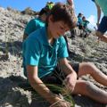 Caring for Northland's dunes