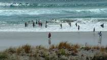 Photo of people enjoying the surf beaches.