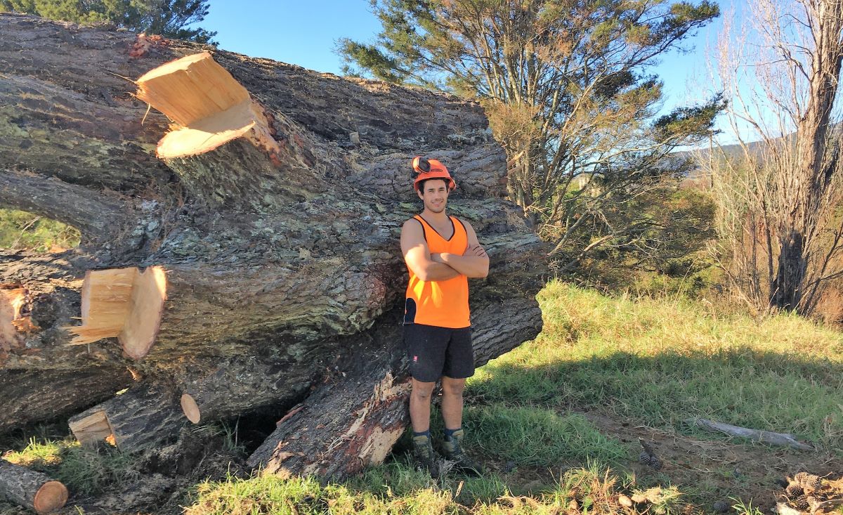 Man standing by large felled pine tree.