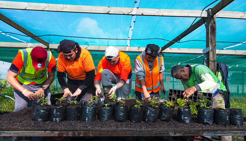 People potting seedings.