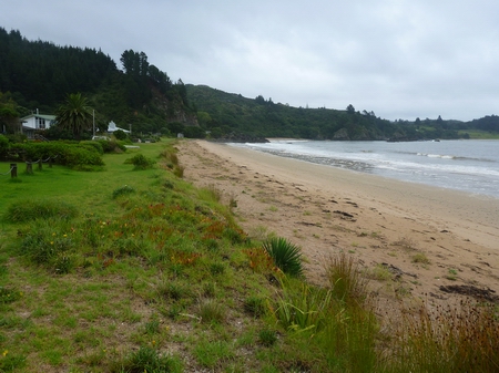Te Ngaere Bay.