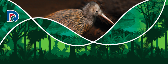 Our Northland banner kiwi and bush