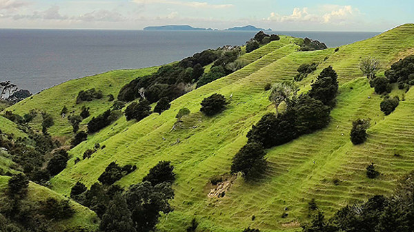 Highly Erodible Farmland  Edit   1200 