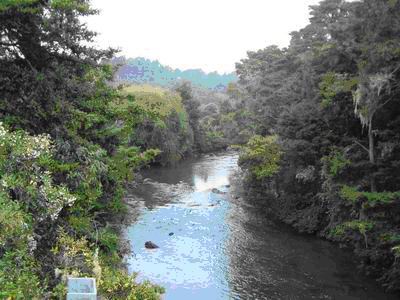 Punakitere River.